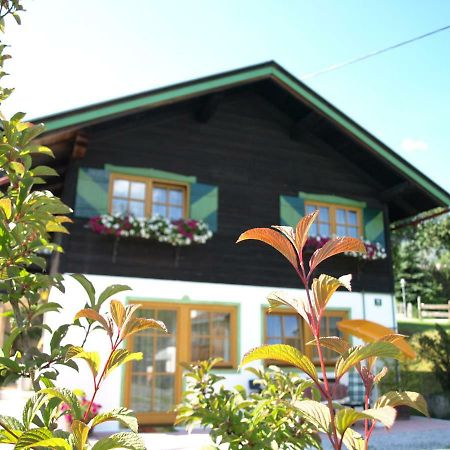 Alpen Chalet Ellmau Zentrum Extérieur photo